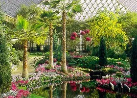 An indoor flower garden
